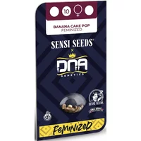 Banana Cake Pop Feminisierte Hanfsamen, 3 Samen