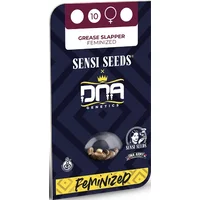 Grease Slapper Feminisierte Hanfsamen, 3 Samen