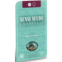 Boujee Berriez Feminisierte Hanfsamen, 3 Samen