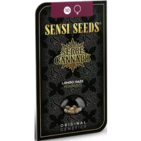 Lambo Haze Feminisierte Hanfsamen, 3 Samen