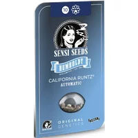 California Runtz Automatic Hanfsamen, 3 Samen