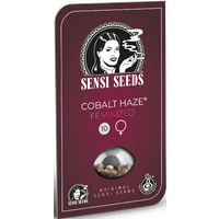 Cobalt Haze Feminisierte Hanfsamen, 3 Samen