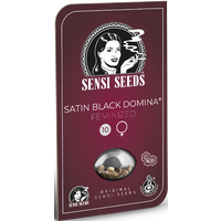 Satin Black Domina CBD Feminisierte Hanfsamen, 3 Samen