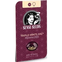 Triple Mints XXL Feminisierte Hanfsamen, 3 Samen