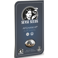 Afghani #1 Automatic Hanfsamen, 3 Samen