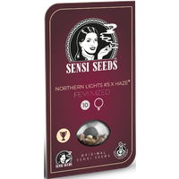 Northern Lights #5 x Haze Feminisierte Hanfsamen, 1 Samen