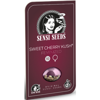 Sweet Cherry Kush Feminisierte Hanfsamen, 1 Samen