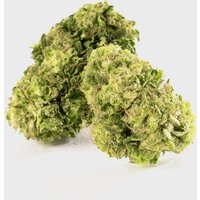 ☘️ Green Chill Zone 9,5% CBG by Marvin Game