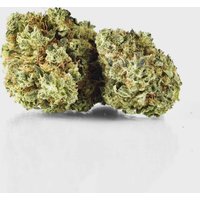 🍍 Pina Paff 20% CBD by Plusmacher