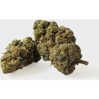 🍇 Tutti Frutti 24% CBD