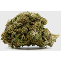 💎 ⁠Oriental Dates 19% CBD