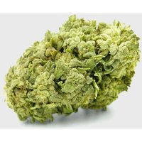 🧊🍪 Frosted Cookies 55% Superior