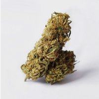 🥦 Big Buds 9% CBG