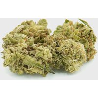 🍉 Melon Kush Deluxe 12% CBD