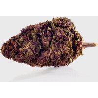 Sexy Groovy Purple 💜