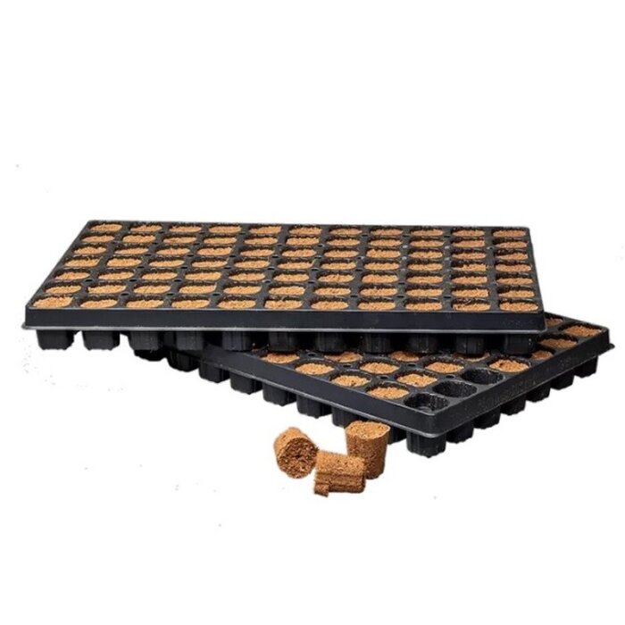 Canna Rootplugs Tray, 77er Tray