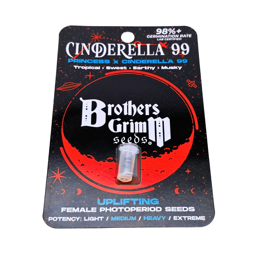 Brothers Grimm Seeds Cinderella 99 3 Stück