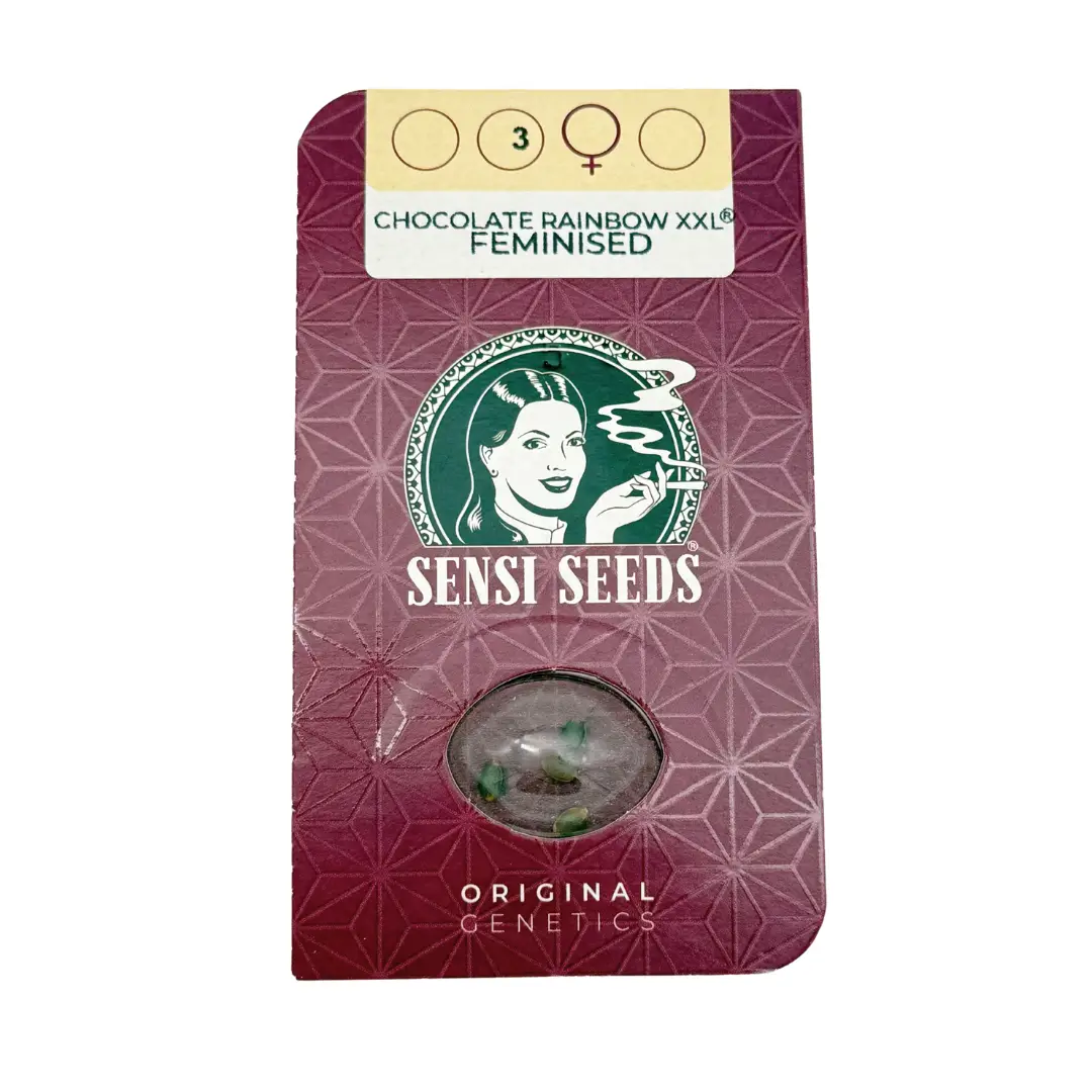 Sensi Seeds Chocolate Rainbow XXL 3er Pack