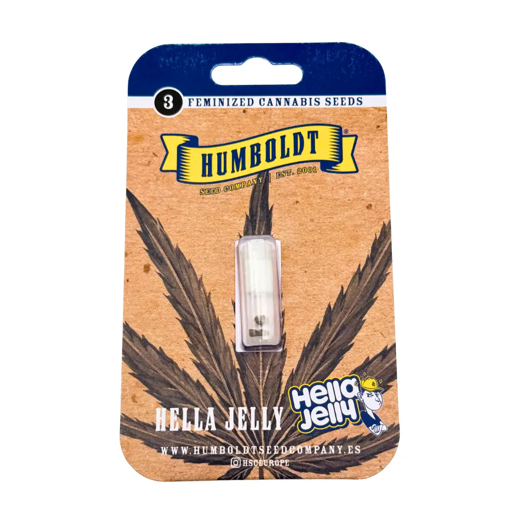 Humboldt Seed Co. Hella Jelly 3er Pack