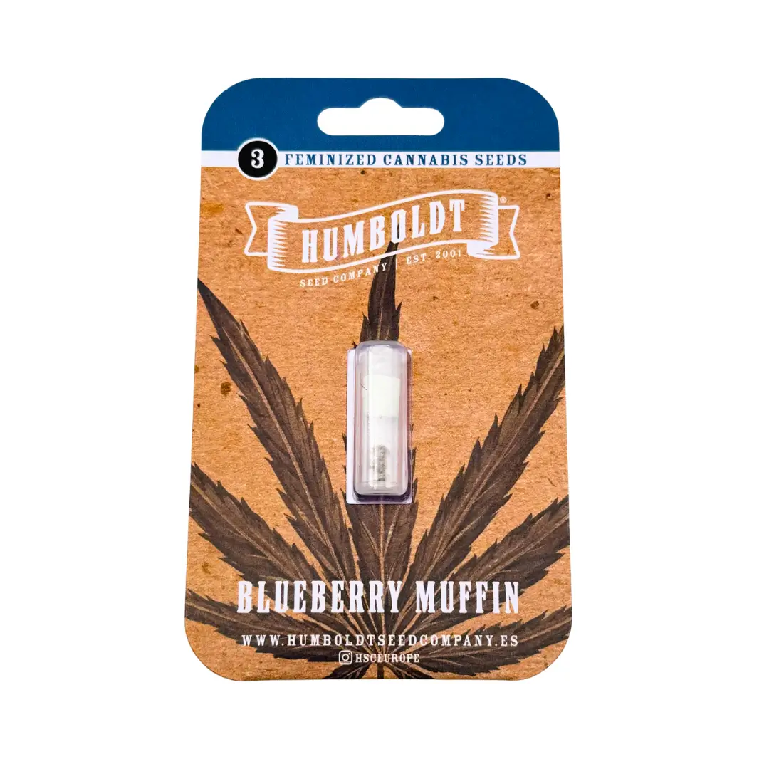 Humboldt Seed Co. Blueberry Muffin 3er Pack