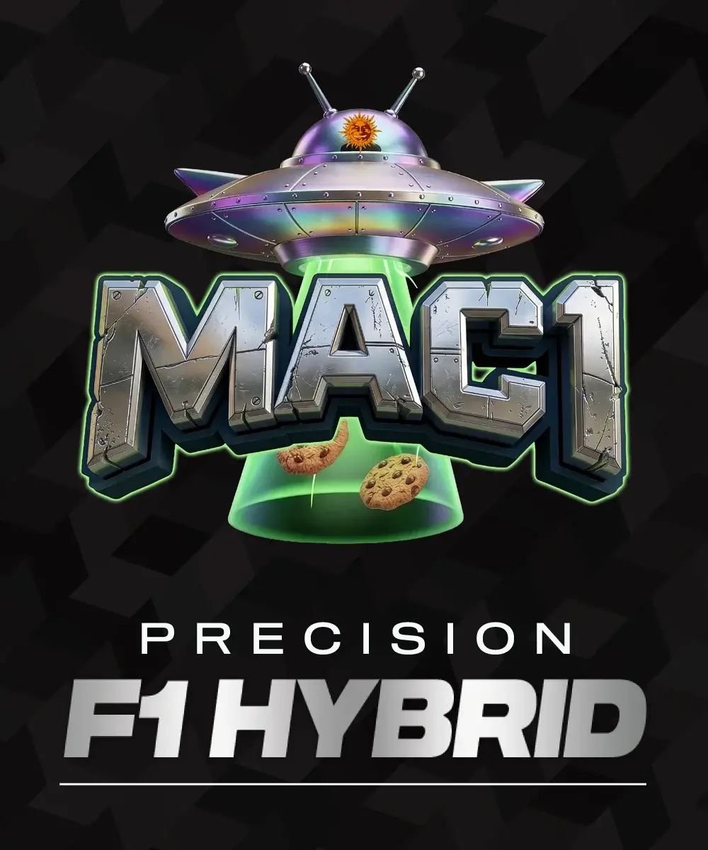 Barneys Farm MAC1 F1 3er Packung + 3er Gift Pack gratis dazu