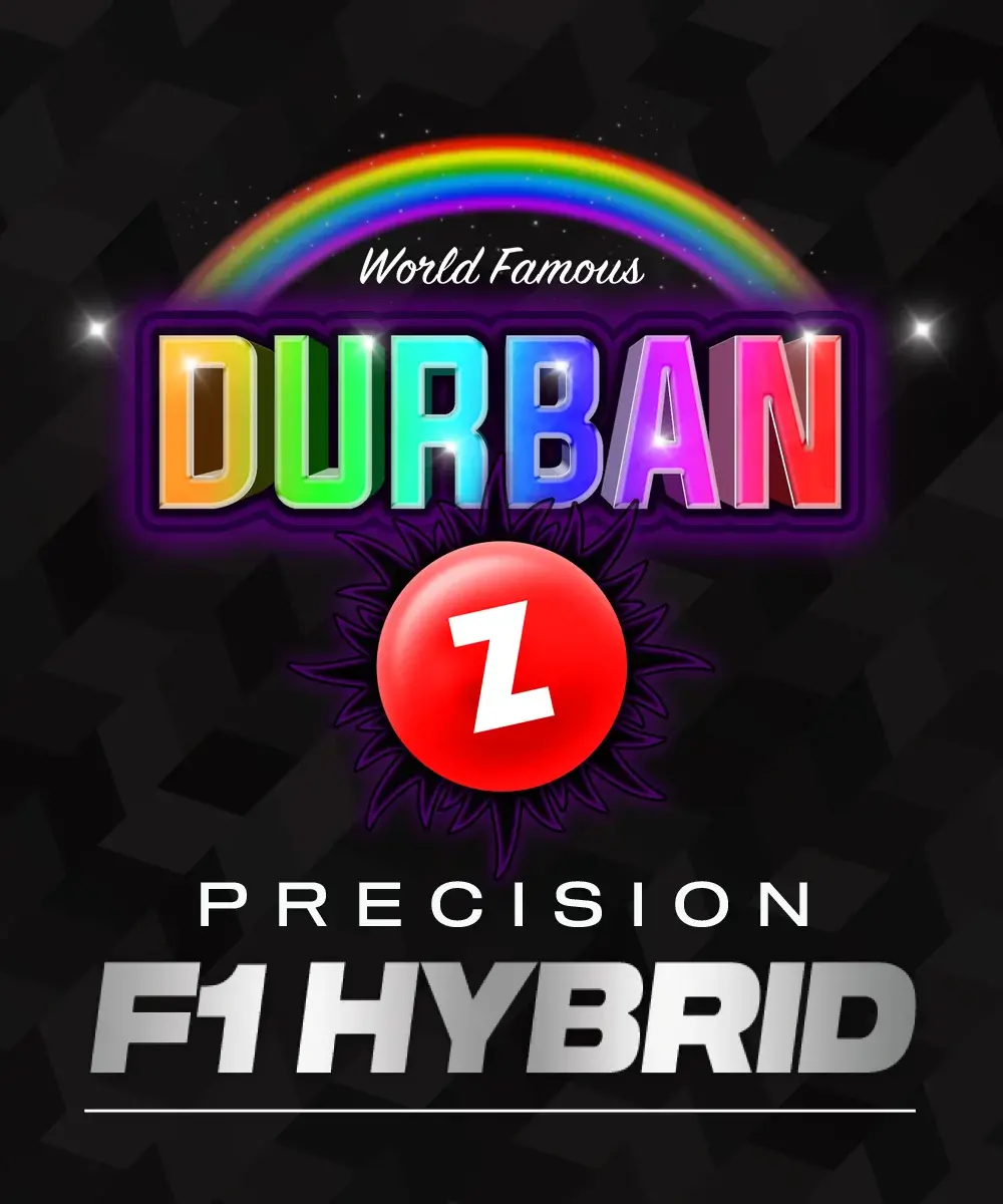 Barneys Farm Durban Z F1 3er Packung + 3er Gift Pack gratis dazu