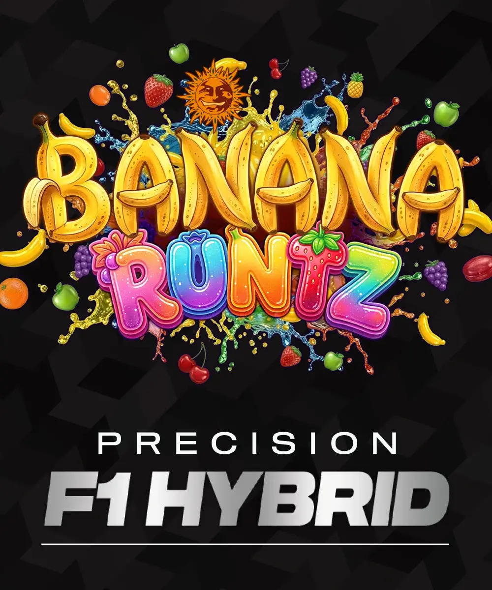 Barneys Farm Banana Runtz F1 3er Packung + 3er Gift Pack gratis dazu