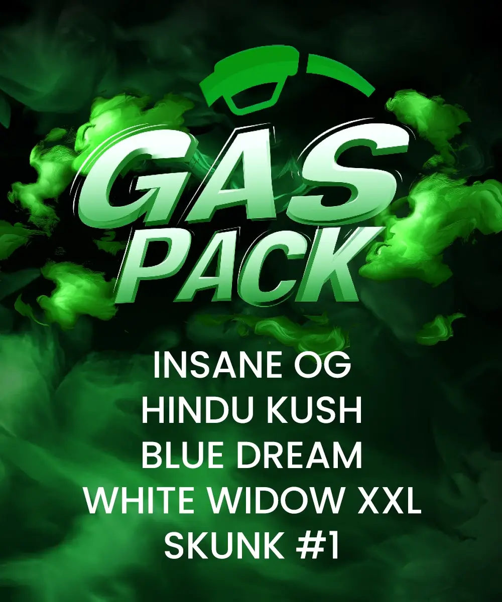 Barneys Farm Gas Pack 5er Pack + 5er Giftpack
