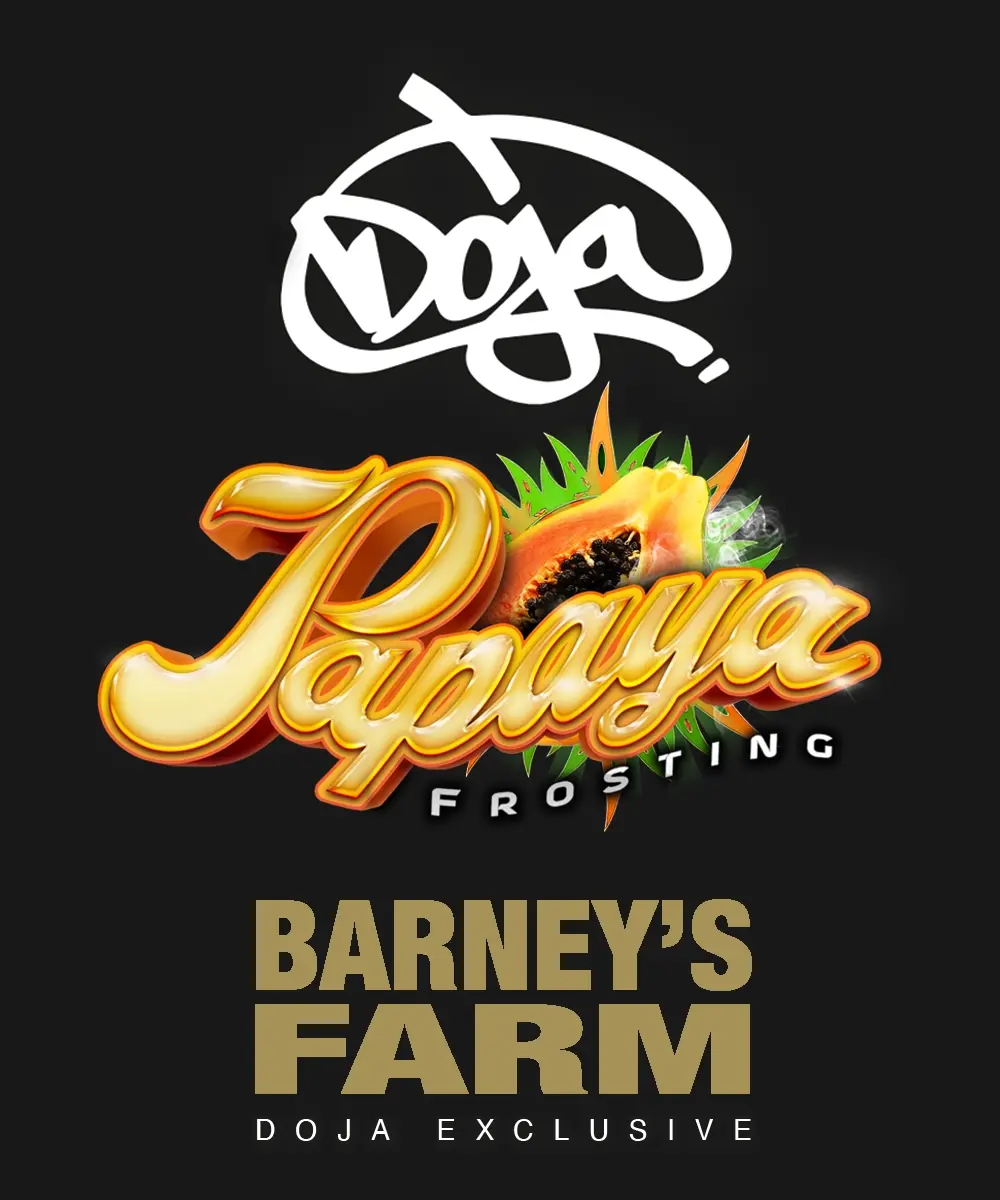 Barneys Farm Papaya Frosting 3er Pack + 3er Giftpack Gratis dazu