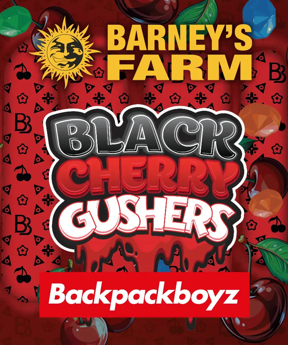 Barneys Farm Black Cherry Gushers 3er Pack + 3er Gift Pack gratis