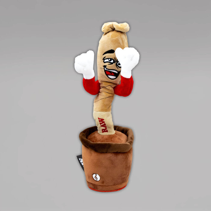 RAW Dancing Cones