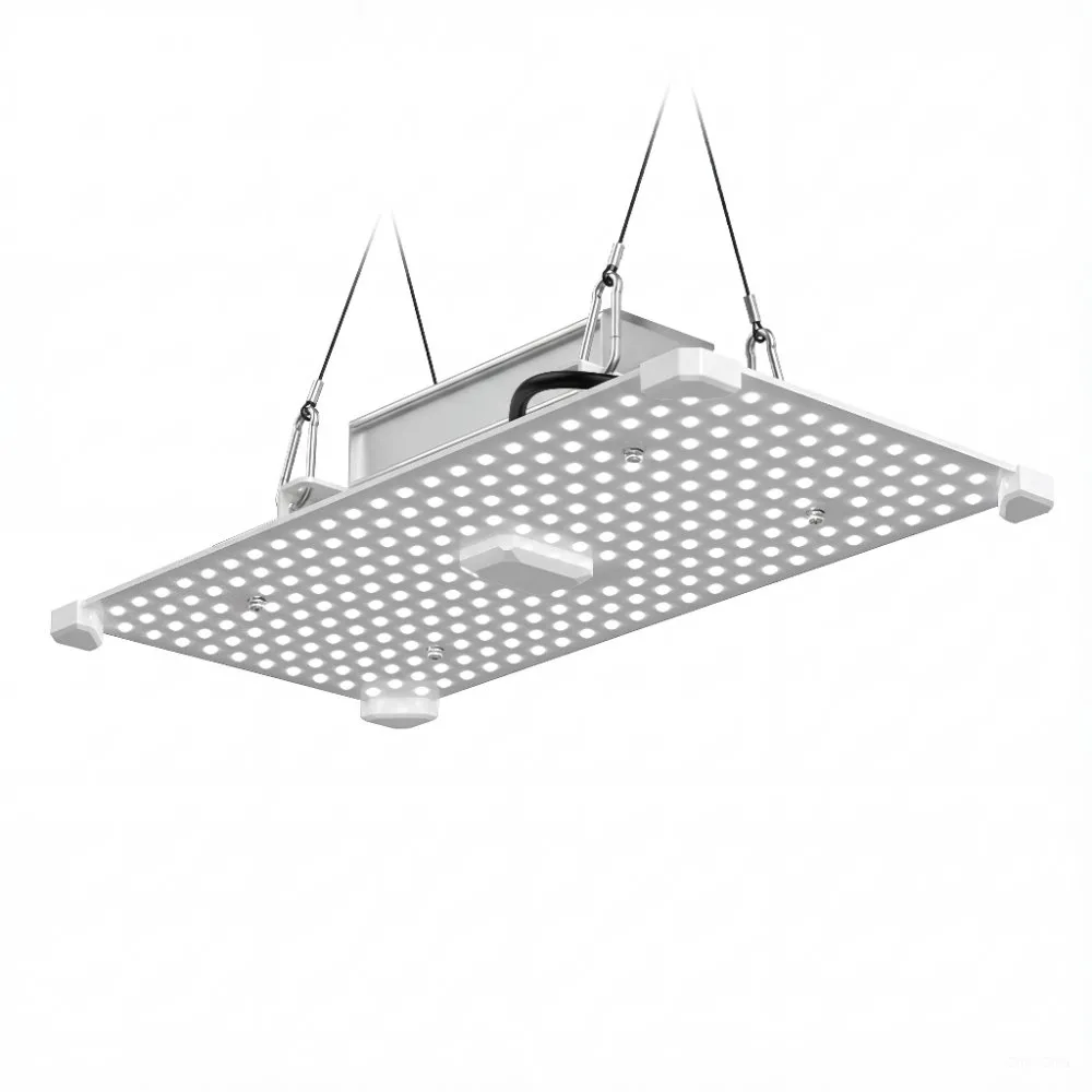 Lumii Black Blade LED Growlampe 100W