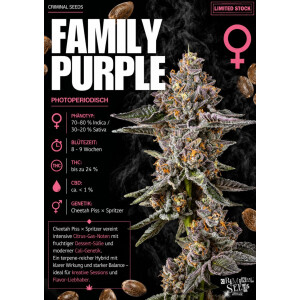 Family Purple feminisiert Criminal Seeds 3er Pack