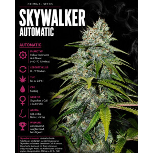 Skywalker Auto Ciminal Seeds 3er Pack