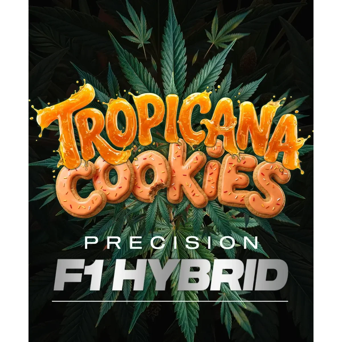 Barneys Farm Tropicana Cookies Auto 3er Packung