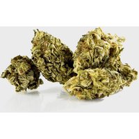 🫐 Blue Fritters 15% CBD