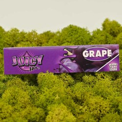 Juicy Jay's Rolling Paper - Grape