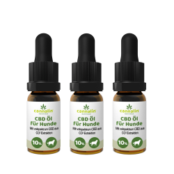 CBD Öl für Hunde mit Lachsöl 10% 10ml | 3 zum Preis von 2