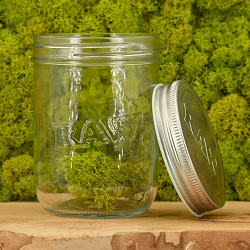 RAW Mason Jar - Einmachglas (475ml)