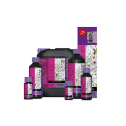 ATAMI B´cuzz Bloom Stimulator 500ml