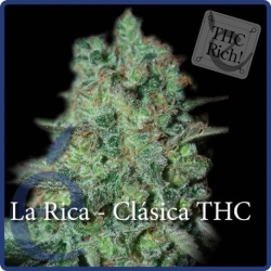 La Rica Classic THC - éLite Seeds