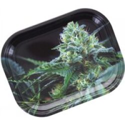 Rolling Tray Mini BUDS O.G. KUSH