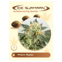 Widow Ryder - De Sjamaan Seeds