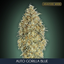 Auto Gorilla Blue - Advanced Seeds