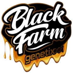 Rainbow Zoe - Black Farm Genetix