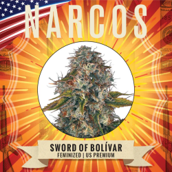 Sword of Bolívar - Narcos Seeds