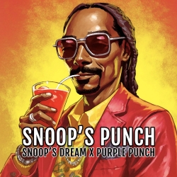 Snoop’s Punch - ELEV8 Seeds