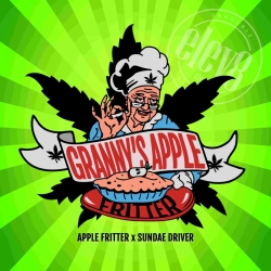 Granny’s Apple Fritter - ELEV8 Seeds