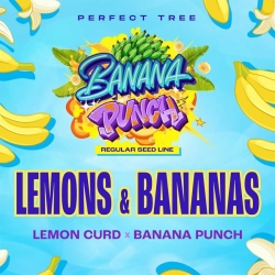 Lemons & Bananas Reg. - Perfect Tree Seeds