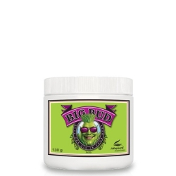 Big Bud Liquid - Advanced Nutrients